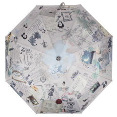 Зонт Flioraj 060699 стихи Пушкина