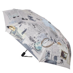 Зонт Flioraj 060699 стихи Пушкина