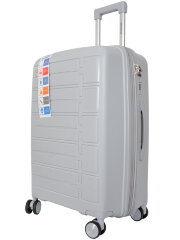 Чемодан Bagvoyage BV PP07-24 silver