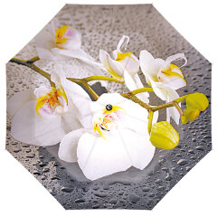 Зонт Flioraj 231204 орхидея